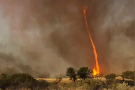 地球病了？澳洲野火还在烧，首都危险了，已超4亿吨二氧化碳释放图片