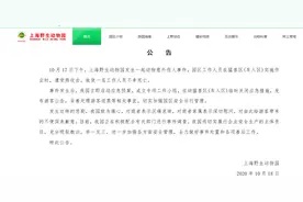 上海野生动物园一饲养员遭熊攻击死亡，园方成立专项工作小组图片