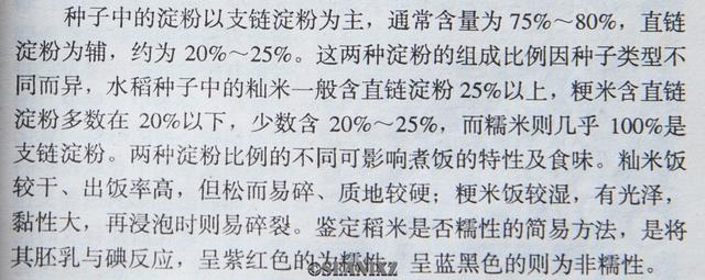 米饭脱糖概念真的全是伪科学？——还得看实际产品