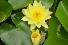 同是高考状元，同名同分不同年——这个名字真好！图片