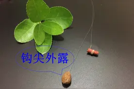 鱼钩小一点，中鱼率才更高？正相反，难怪你的浮漂全是假动作图片