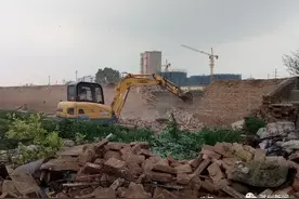 潞州区常青街道：拆除已腾退大棚全力保障市政工程建设图片
