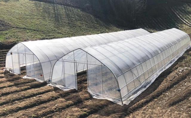 一种家庭种菜大棚,设计,安装简单,造价极低,适合各种蔬菜种植