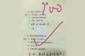 小学生的奇葩作业图片