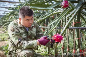 《印象沂源》第十季“军人本色”——桂北辰高新农业创始人王海军图片
