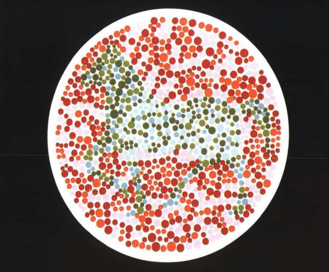 5张色觉测试图,第一张只能看到兔子,那就是绿色色弱(第五版色盲测试图