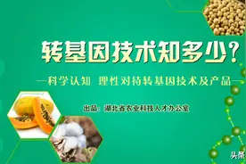 科普 | 杂交水稻是不是转基因农产品？图片