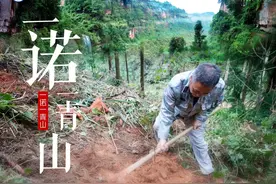 来，听树说会儿话~图片