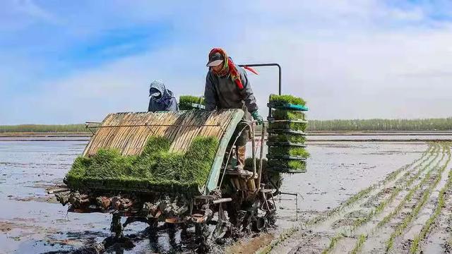 新中国第一代女拖拉机手:当初开荒时,狼就跟在后面捡老鼠吃