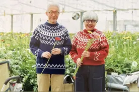日本夫妇的精彩晚年生活：老了之后，伴侣，才是余生的归属图片
