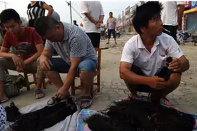实拍：头发加工厂，原来这就是我们被收购的头发的最终去处图片