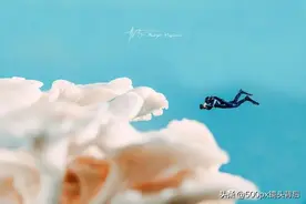 脑洞大开！500px摄影师镜头下的微观小人国，超绝图片