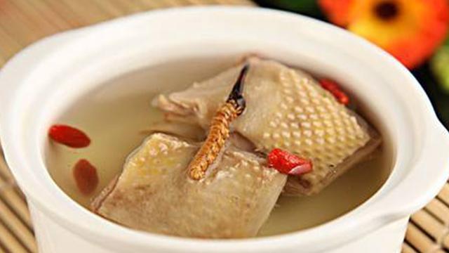 鹿茸花胶炖白鸽 鹿茸花胶炖白鸽汤的做法