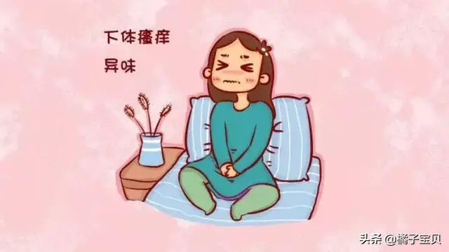 角化的复层扁平上皮位于