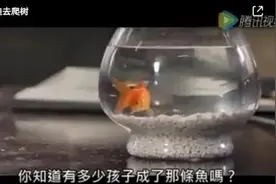 鱼妈妈对小鱼说：不会爬树，这不是你的错图片
