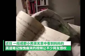 一二年级写作业，父母的帮助非常重要！好的能力习惯影响孩子一生图片