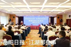 签了！今天，又一百亿级项目落户岳阳图片