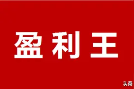 上半年机场业绩泾渭分明，谁是盈利王？图片