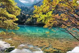 广西小伙入深山 拍得几张美景 像童话故事里一样 空灵图片