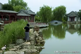 看破红尘 回归简单图片