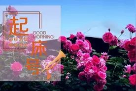 【起床号】2月26日，早安！歌曲《五月的鲜花》图片