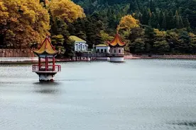 养老院是老人最好的归宿吗？图片