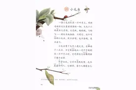 二年级下册语文课文22《小毛虫》图文详解及同步练习图片