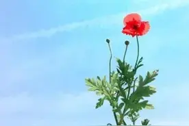 老公出差，妻子去闺蜜家，凌晨四点被叫回家，结果进门挨了一巴掌图片