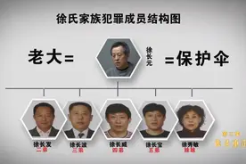 徐氏家族的消亡史：拥有房产2714套，骗贷30亿，敛财超百亿图片