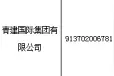 青建国际集团因扬尘污染遭罚图片