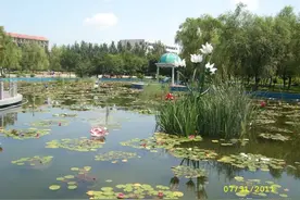 辽宁开原植物园，拍摄：诗韵轻歌图片