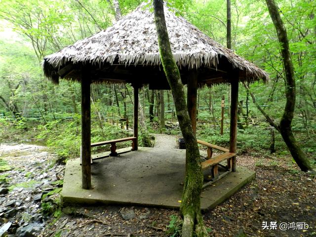 重走抗联路——本溪关门山森林公园鸣翠谷景区抗联秘营