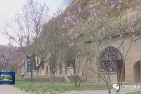 春花惹人醉 踏青游玩好去处图片