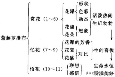 生命的礼赞—《紫藤萝瀑布》解读 - 冷思维