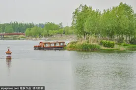 美爆了！地铁直达的“山水画”式公园，藏着近千米木栈道！免费！免预约！图片