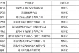 2021年度襄阳市“首席技术专家”名单出炉图片