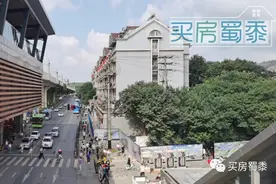 夹缝中的马群，这才是真实的生活图片