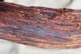 什么样的降真香才是好香图片