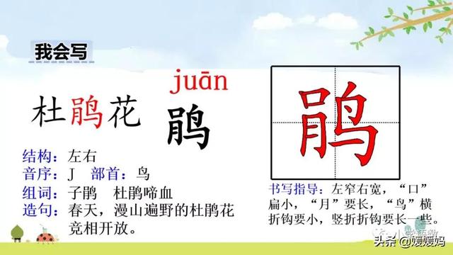 四年级下册语文第17课《记金华的双龙洞》图文详解及同步练习
