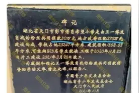 湖北一所“博肖”希望小学爱心碑惹争议，网友：命名不妥图片