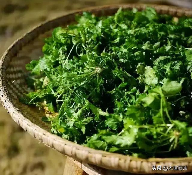 它是野菜之王，营养高味道鲜，剁碎后包饺子真香，冬天不吃可惜了