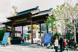 七桥瓮花鸟市场，好逛图片