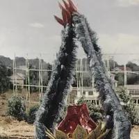 泰罗奥特曼怪兽百科