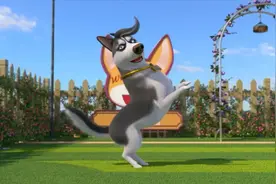 飞狗MOCO的小伙伴：不 怕 秃 头图片