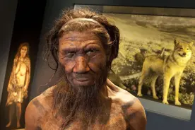 70万年前，人类曾经拥有“阴茎骨”基因，为什么后来消失了图片