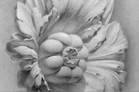 素描画花，逆光有一定难度哦图片