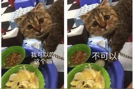 搞笑段子:媳妇和小姨子是双胞胎，直到有天媳妇穿上小姨子的衣服图片