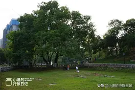 西安闹市这片“荒地”，竟是唐朝长安城罕见的真实遗迹，你知道吗图片