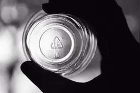 塑料瓶底的数字代表什么？看明白了，离长寿更进一步视频封面