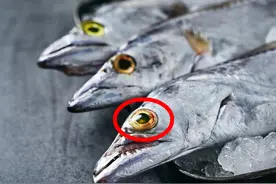 买带鱼时，认准黑眼睛的带鱼，海边人教你做法，只选对的不选贵的图片
